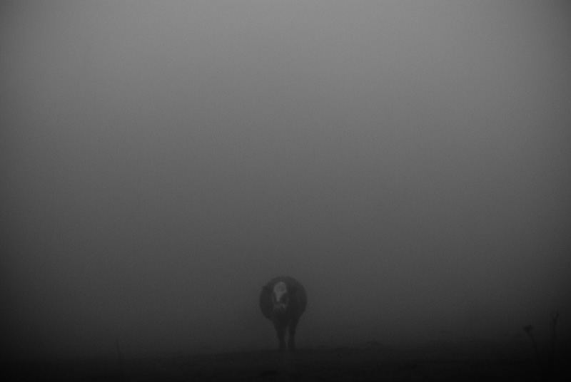 fog0471