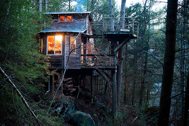 Image result for Tree house in the woods